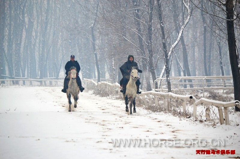 conew_dsc_0282.jpg