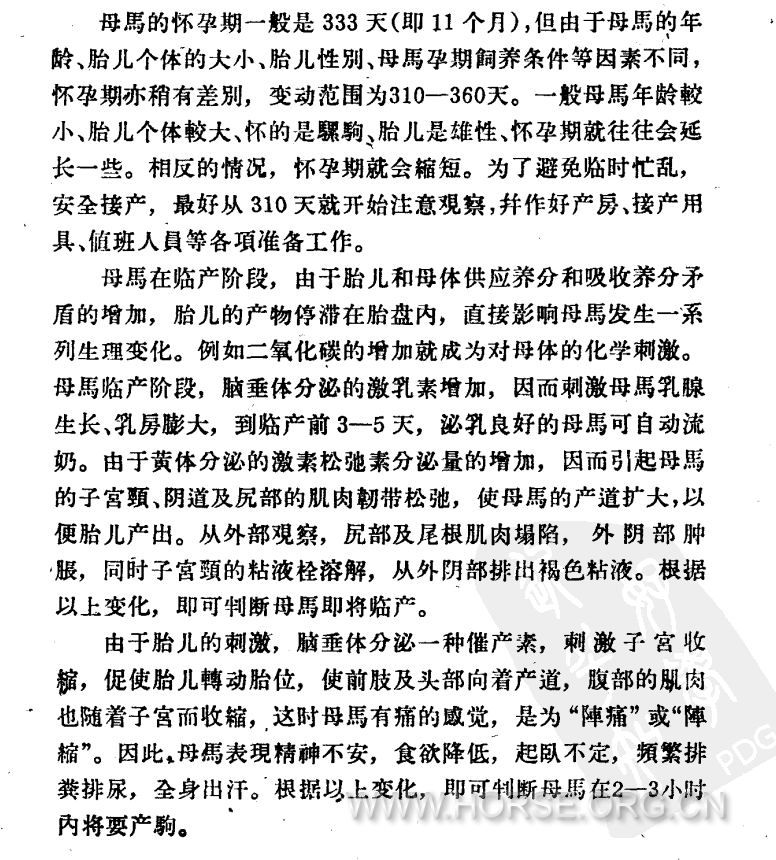 1.孕马临产前的症状.jpg