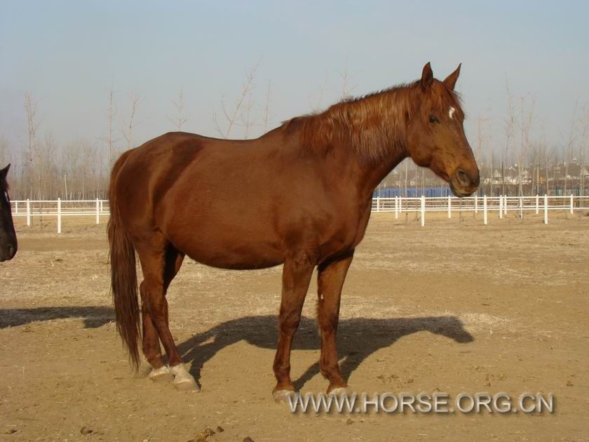 1302061258fea90ed9a68fc1af.jpg