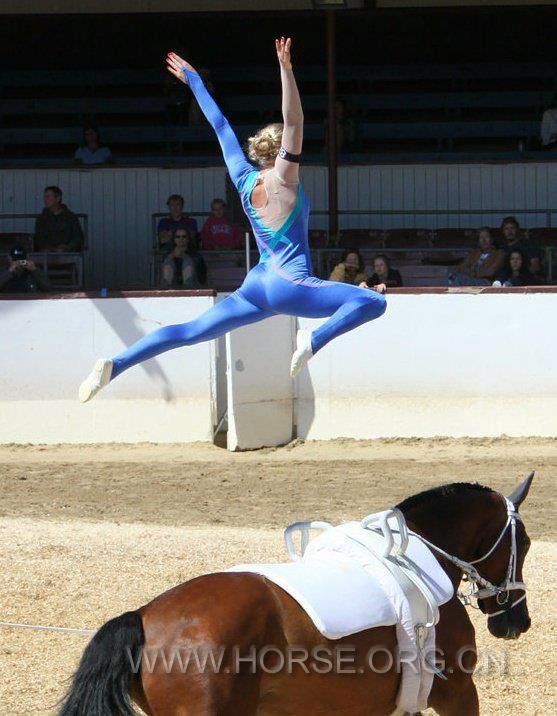 horse2.jpg