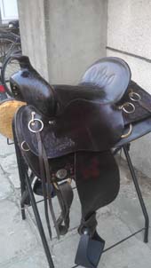 IMAG0679.jpg