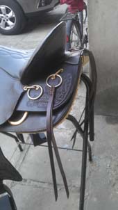 IMAG0682.jpg