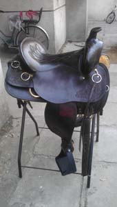 IMAG0680.jpg