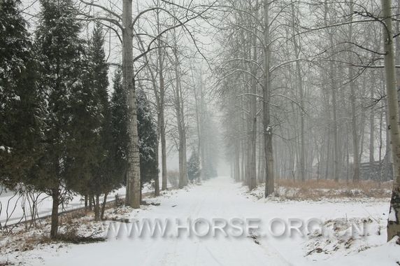 门前小路