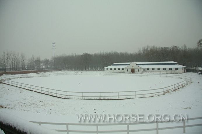 雪景总是这么美，冬天去了，春姑娘要来鸟
