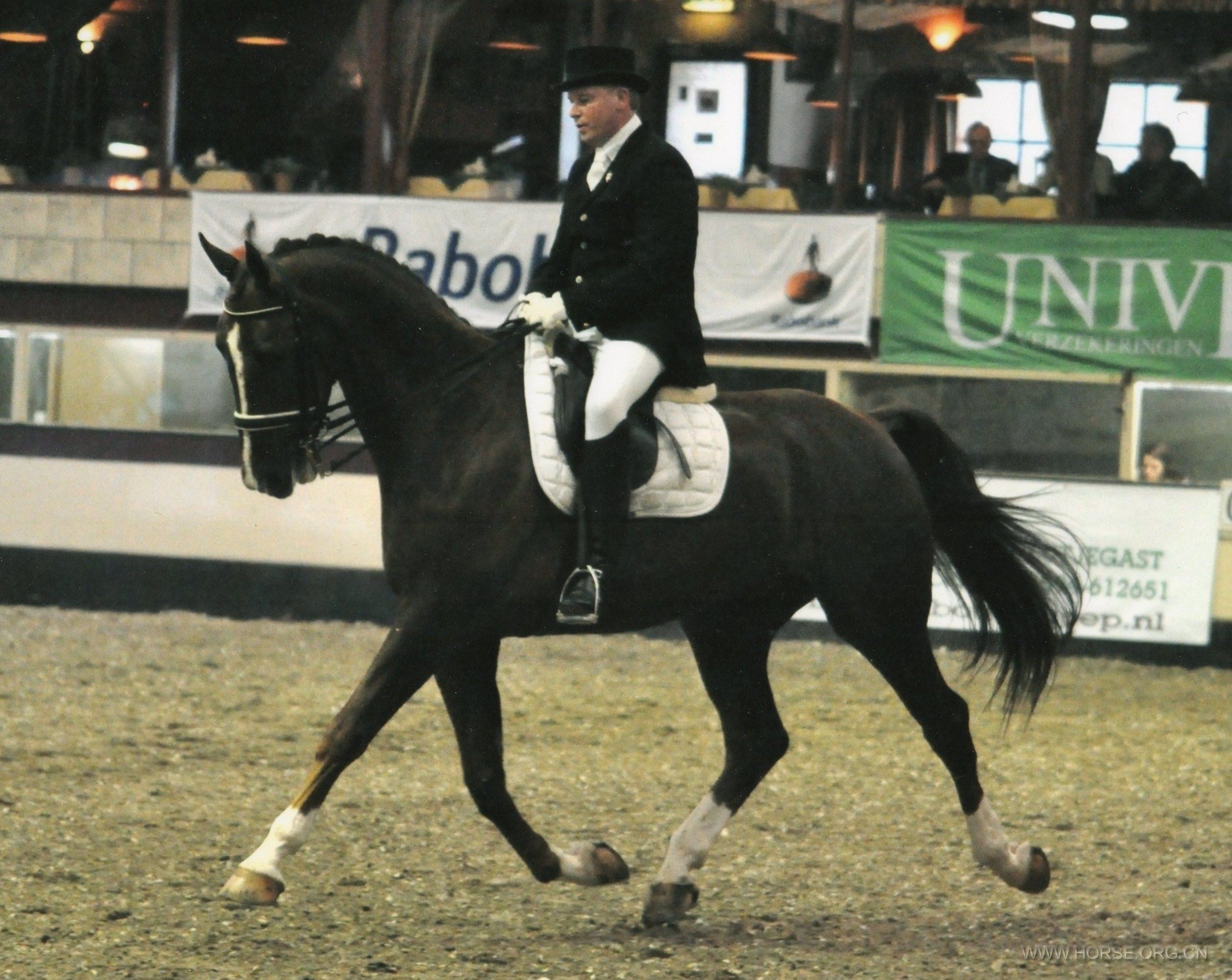 Verden_sit_2010_Z1.jpg