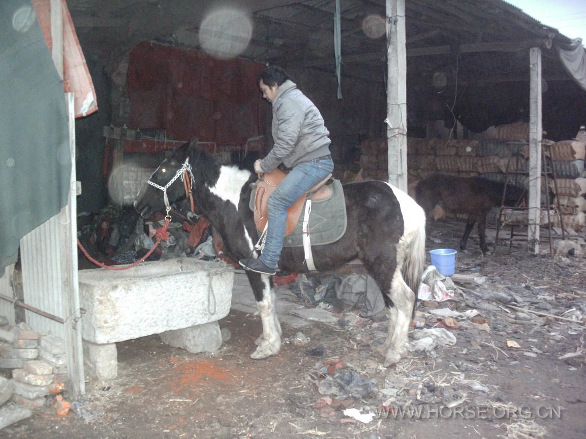 PICT0810.JPG