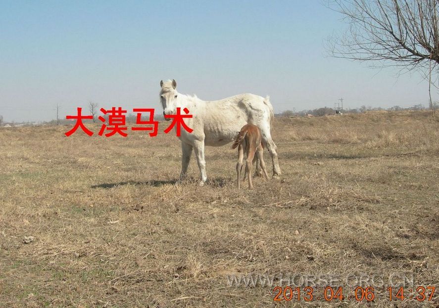 DSCN6655.JPG