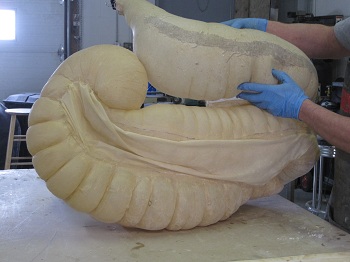 equine_colon_inflated_2.jpg