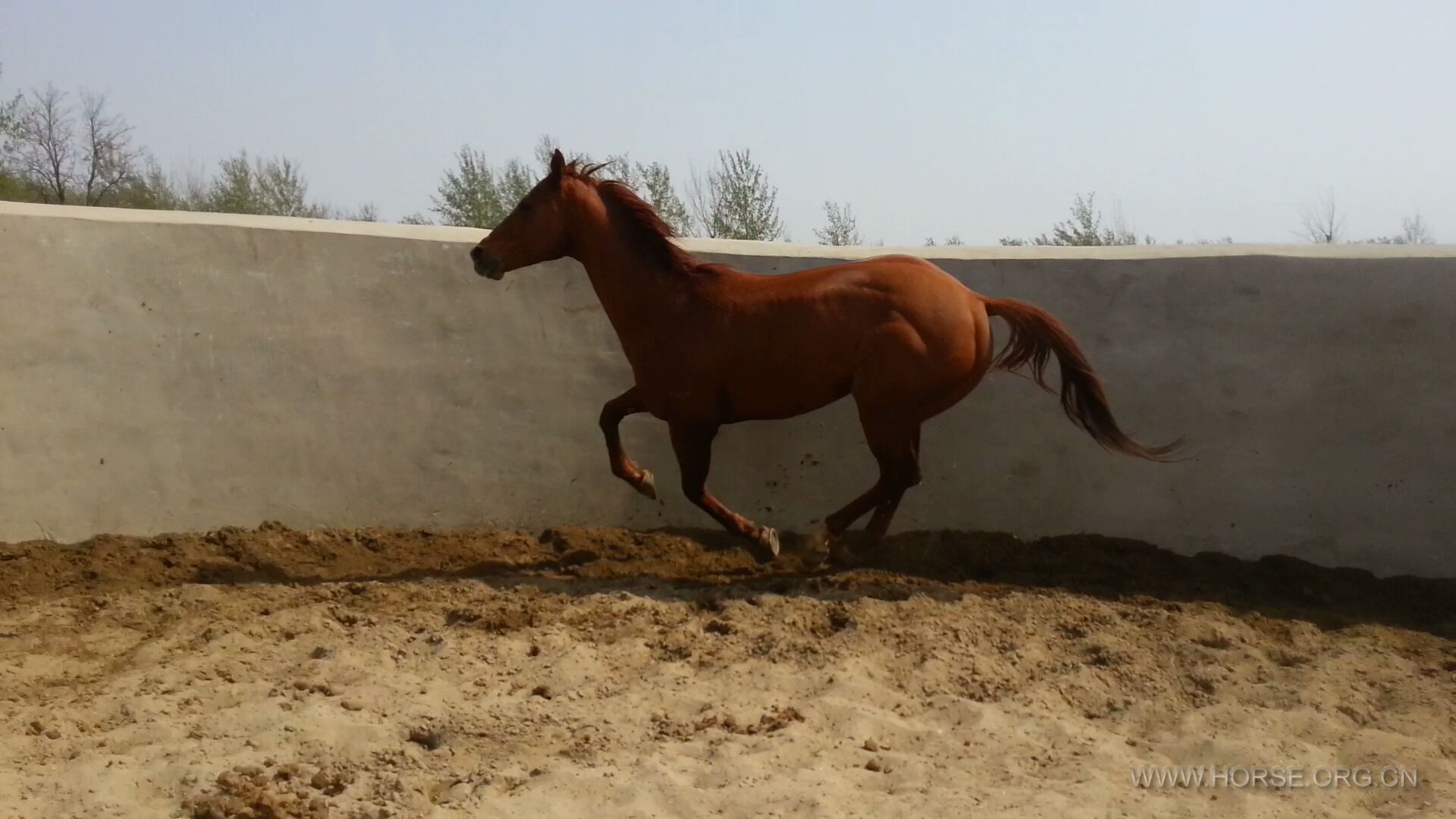 20130414_141420_23924.jpg