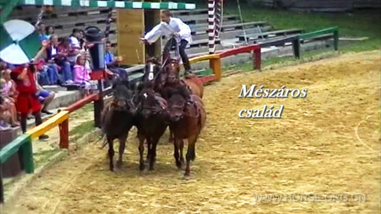 Showreel2[meszaros csalad][1front].JPG