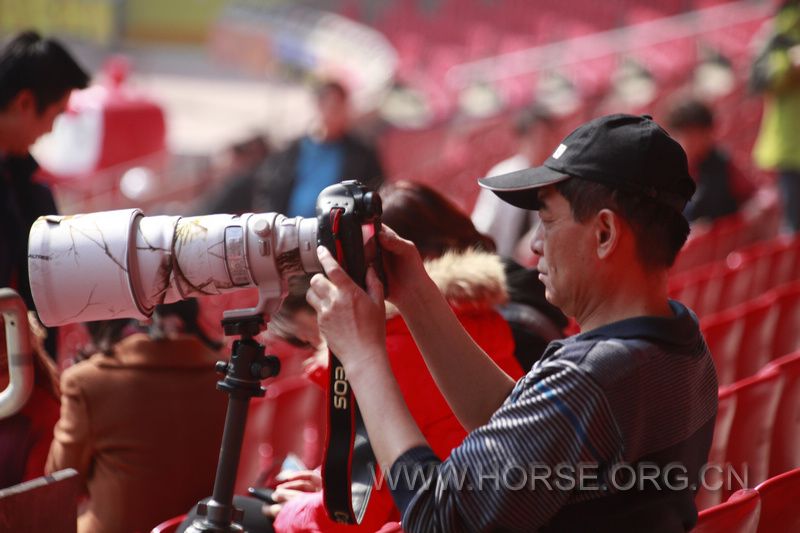 _MG_2527.jpg