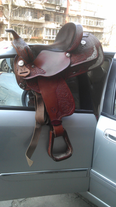 IMAG0720.jpg