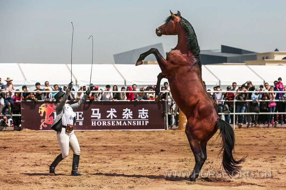 WJUN2275副本.jpg