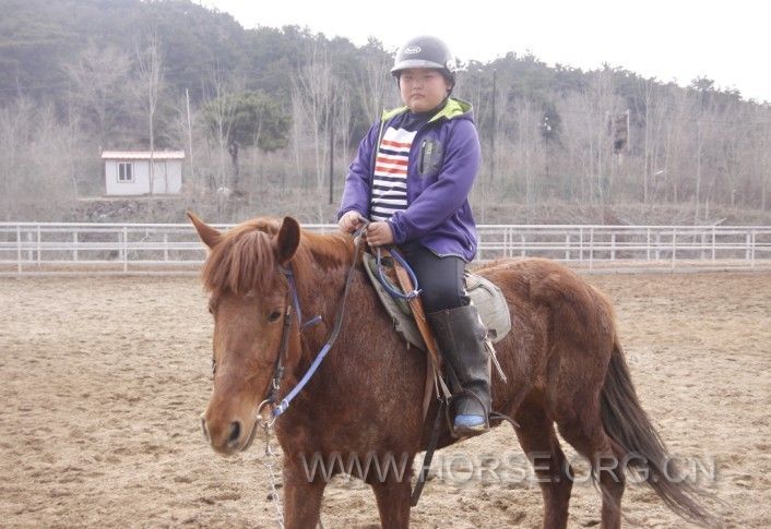 小骑士