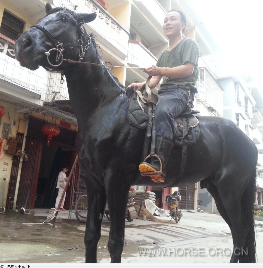 QQ图片20130512223043.jpg