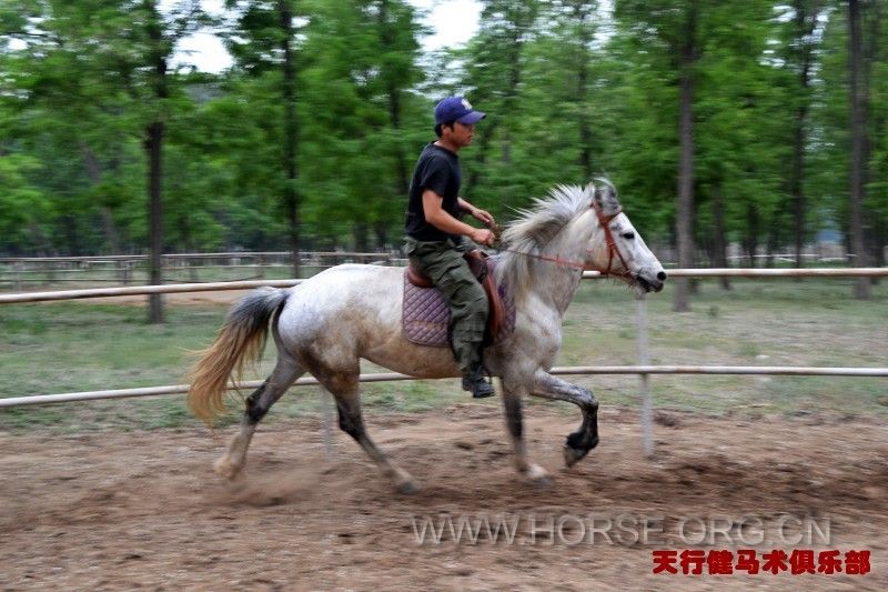 conew_dsc_0559_conew1.jpg