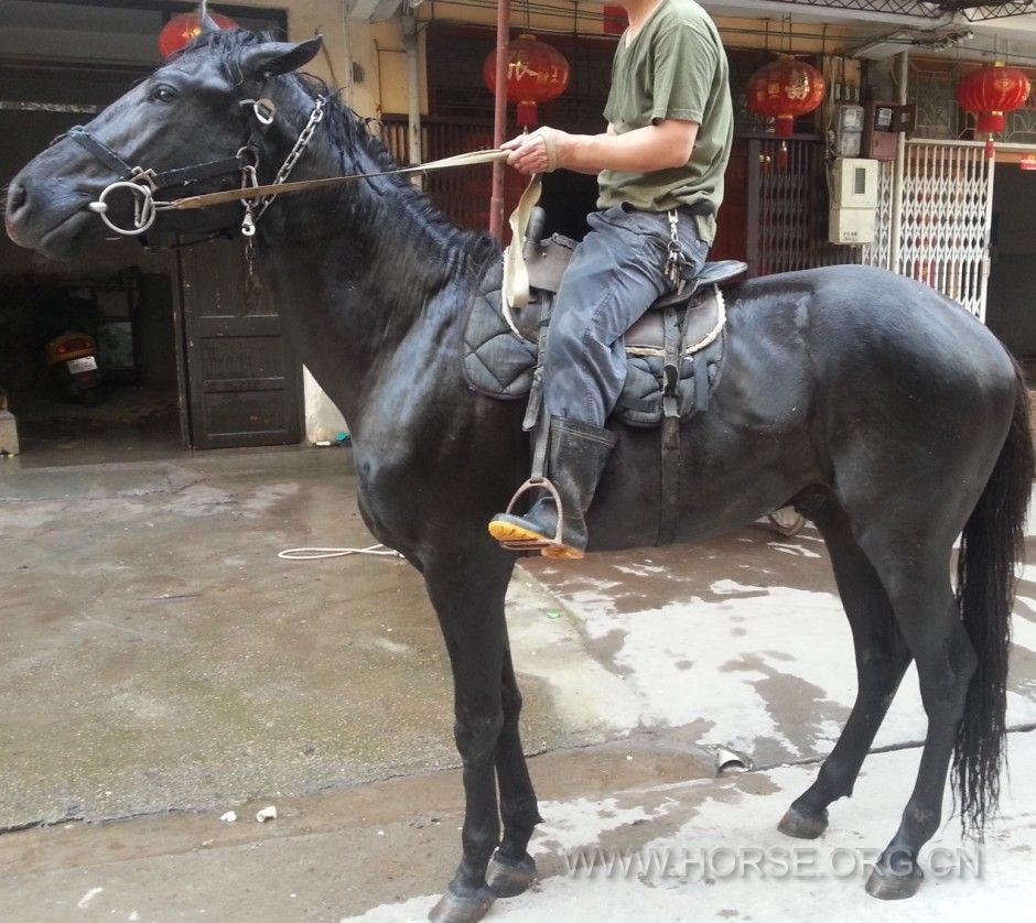 QQ图片20130512222715.jpg