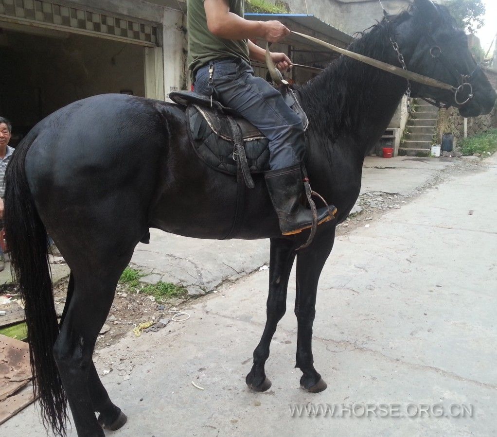 QQ图片20130512222845.jpg