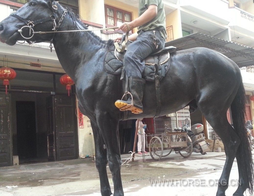 QQ图片20130512223315.jpg