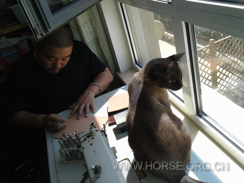 20130514_111357.jpg