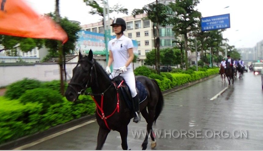 QQ图片20130603084317.jpg