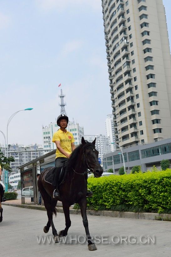 漫步在高楼之下
