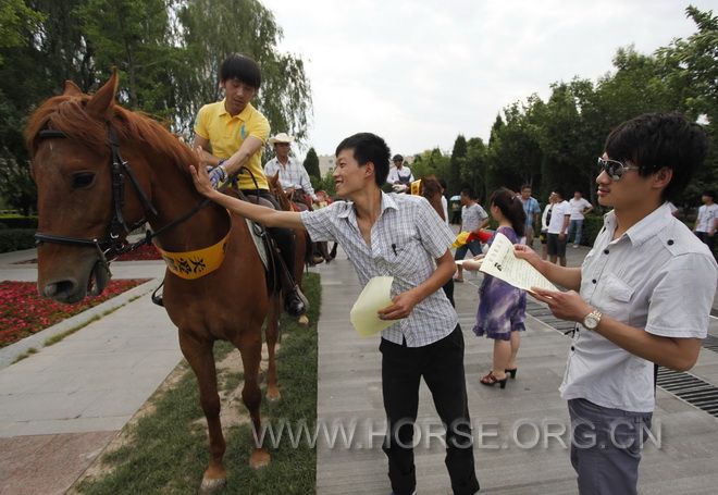 _MG_7147骑马.jpg