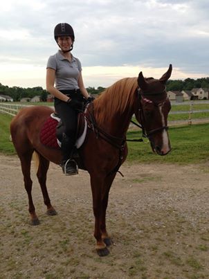 horse 40.jpg