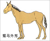 20070321152602204.jpg