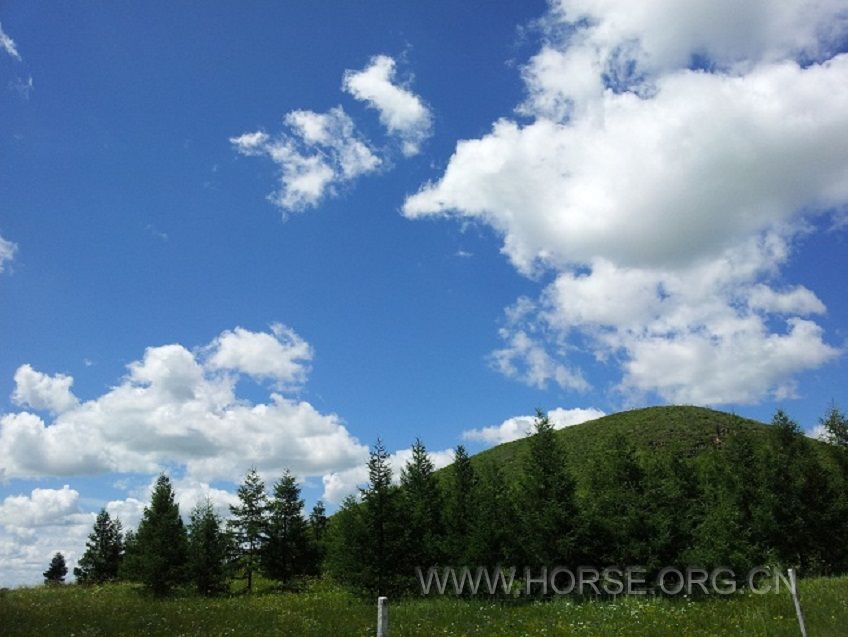 20130724_133426.jpg