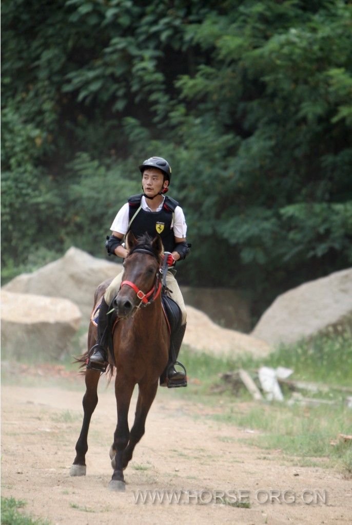 QQ图片20130804113757.jpg