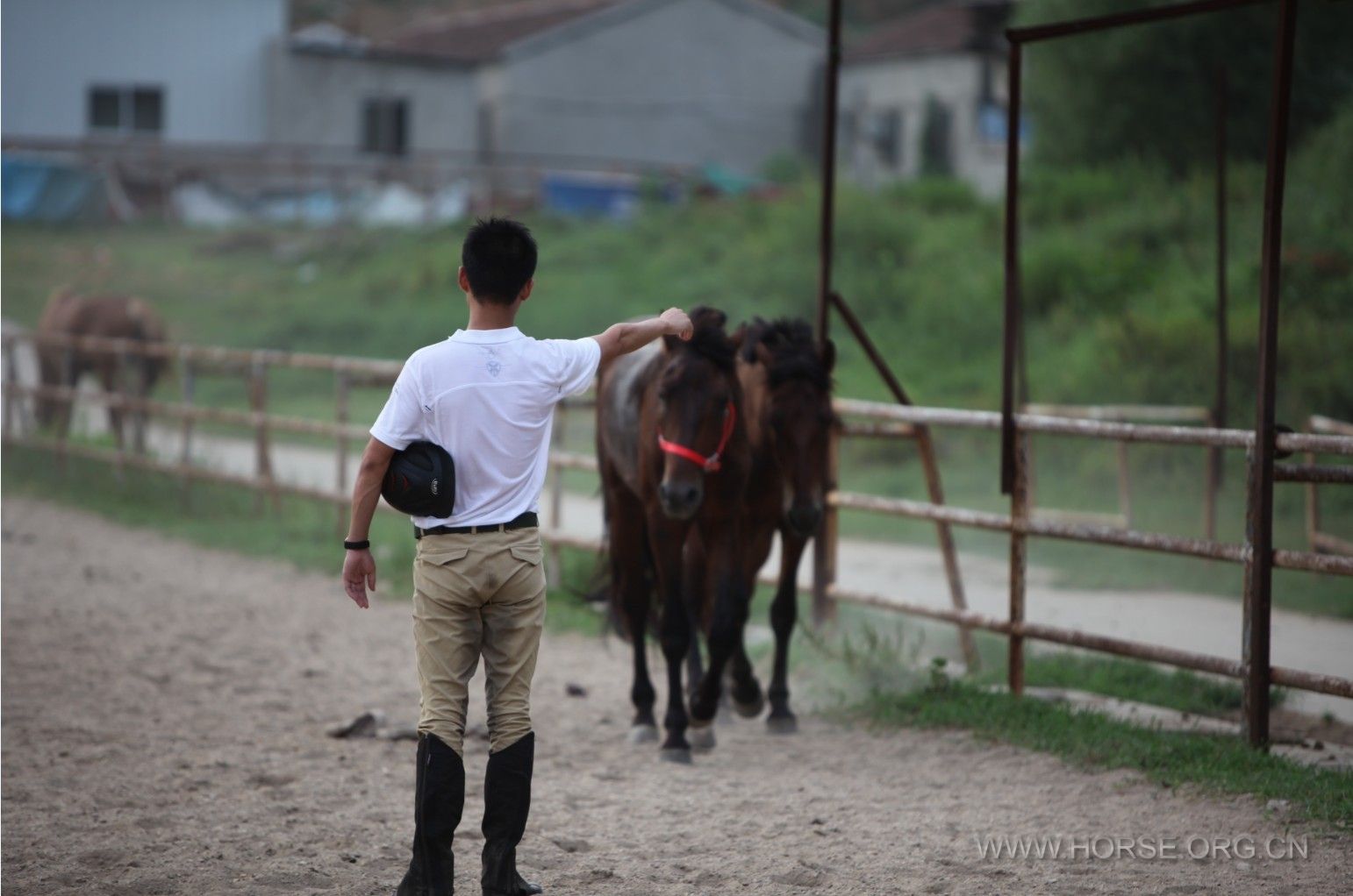 QQ图片20130804113255.jpg