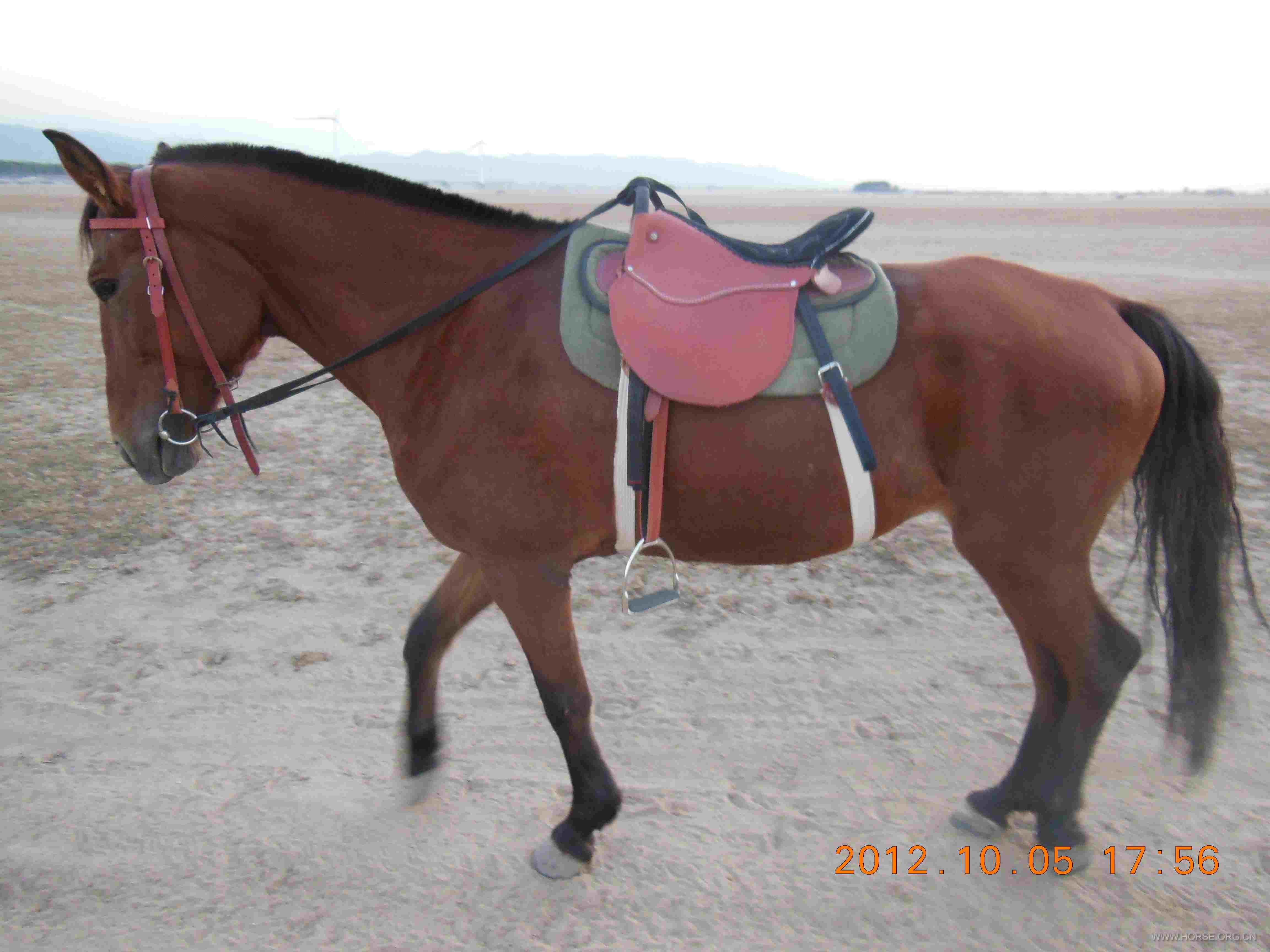 DSCN0834.JPG