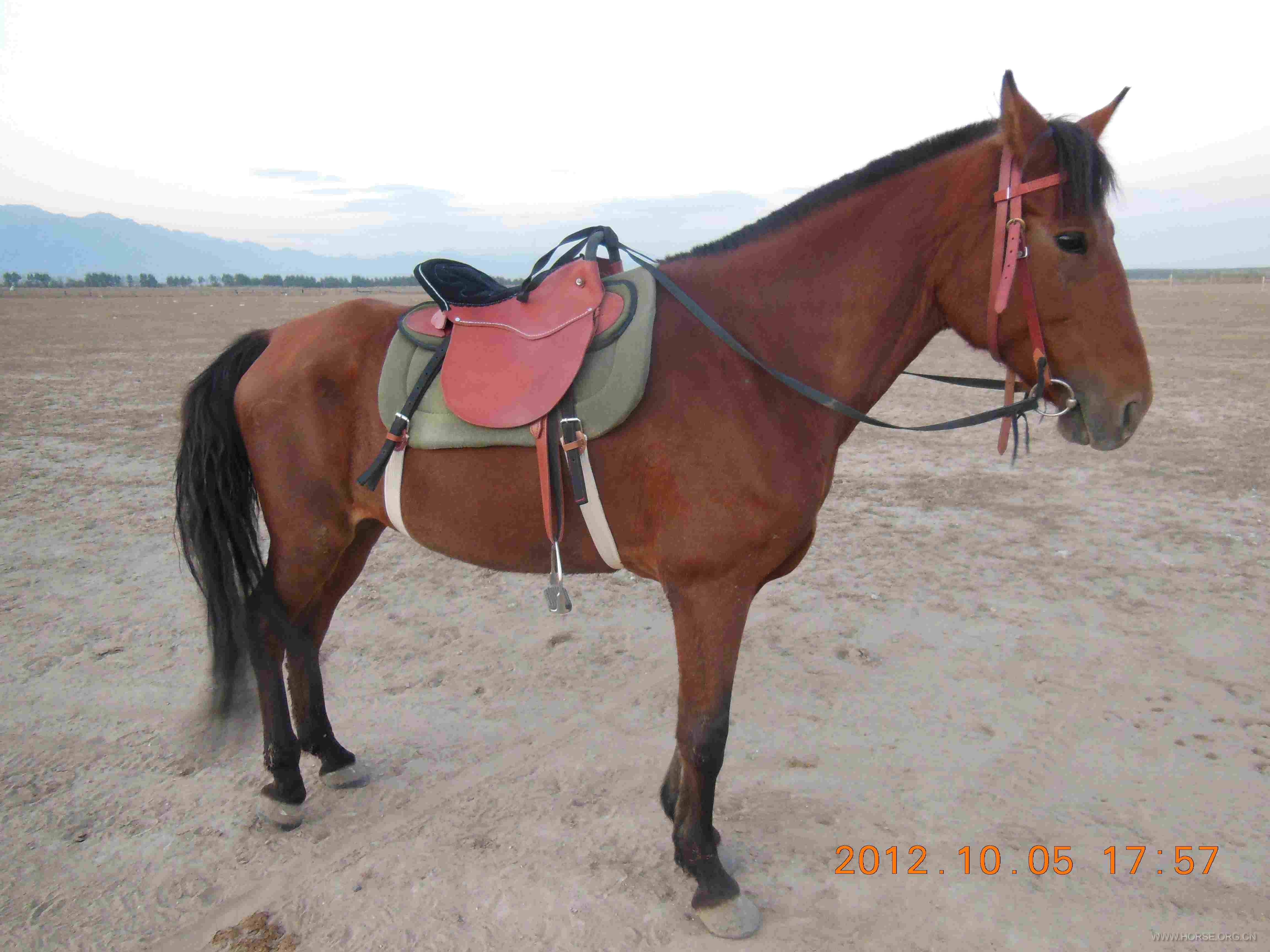DSCN0838.JPG