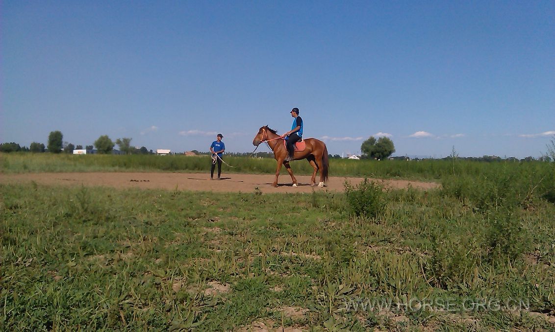 IMAG0729.jpg