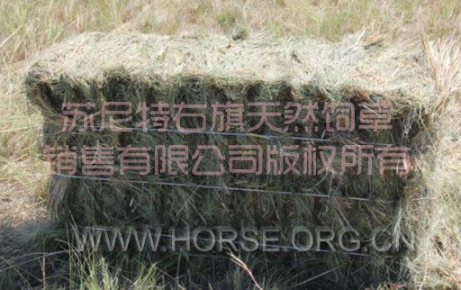 标准35公斤草捆.jpg