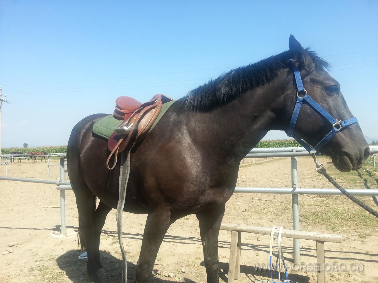 20130907_131813.JPG