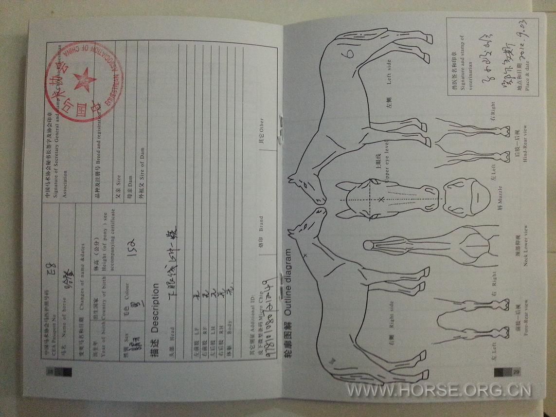 20130908_214441.JPG