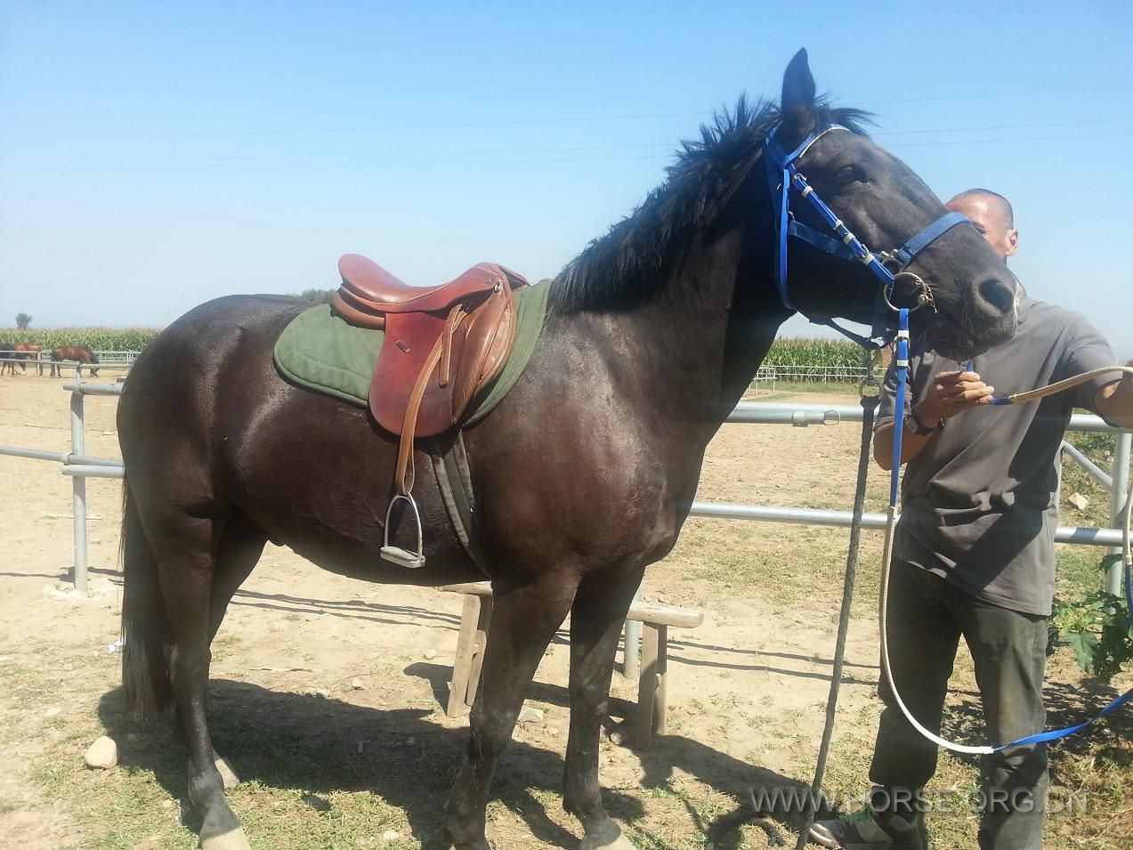 20130907_131943.JPG