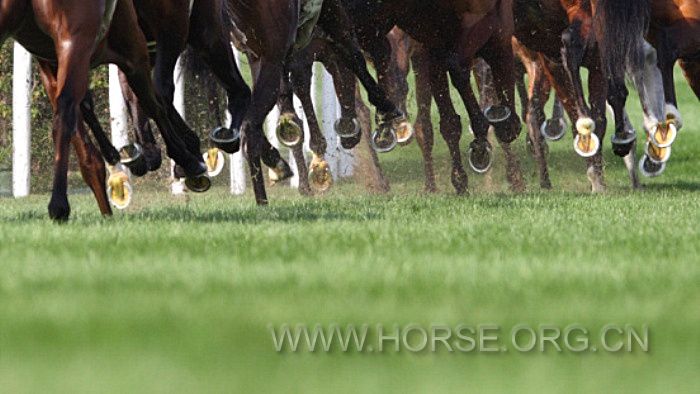 2-马术大赛3-摄影师winhorse.jpg