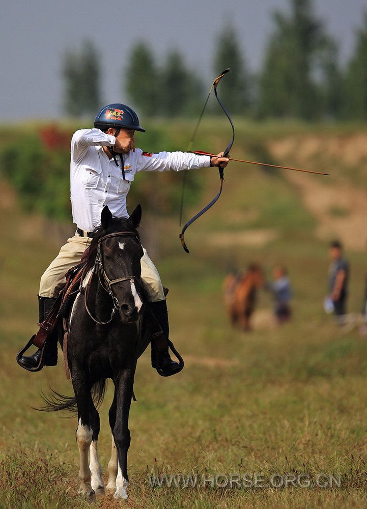 205155zeqpkov11txnoxfi.jpg