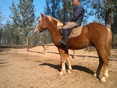 IMG_20131011_093650_副本.jpg