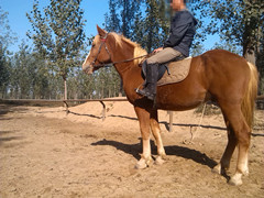 IMG_20131011_093646_副本.jpg