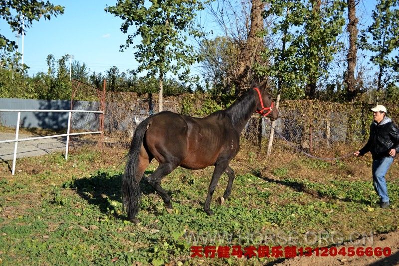 conew_dsc_0599.jpg