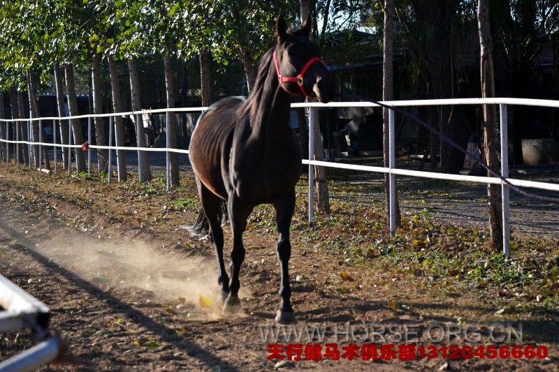 conew_dsc_0646.jpg