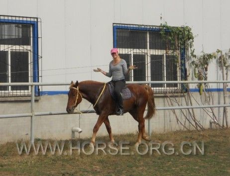 QQ图片20131105170040.jpg