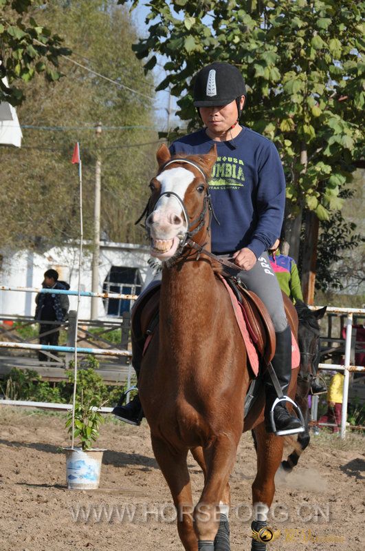 DSC_0323.JPG