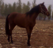 QQ截图20100305035319.png
