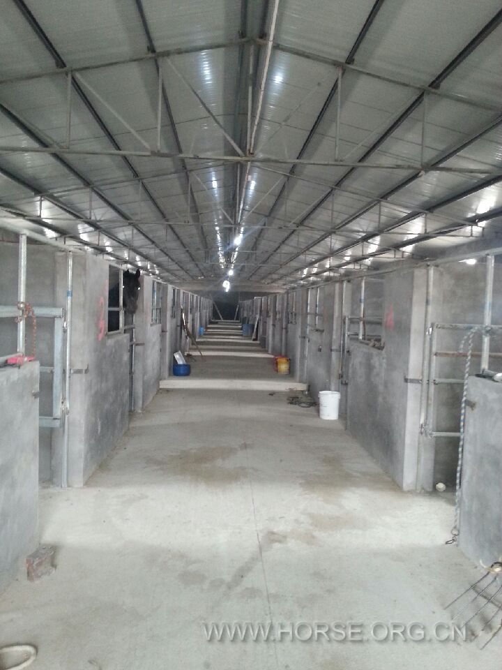 20131031_144028.jpg